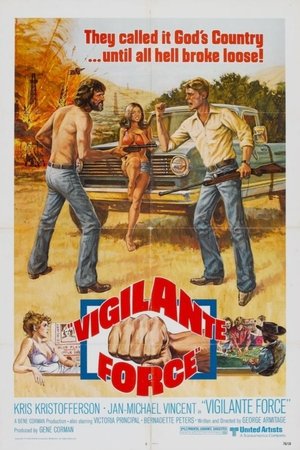 Vigilante Force 1976