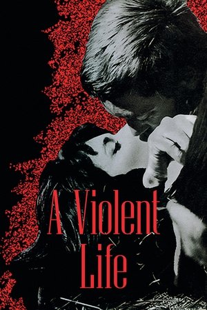 Violent Life 1962