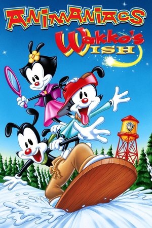 Wakko's Wish 1999