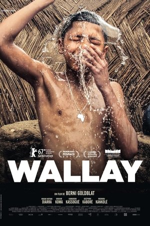 Wallay 2017