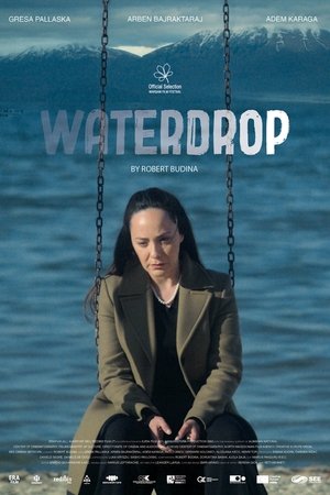 Waterdrop 2024
