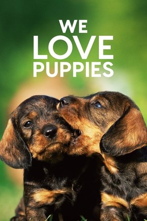 We Love Puppies 2017