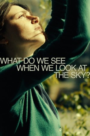 What Do We See When We Look at the Sky? 2021