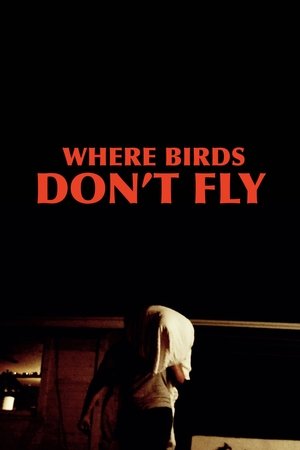 Where Birds Don't Fly 2017