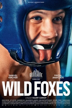 Wild Foxes 2026