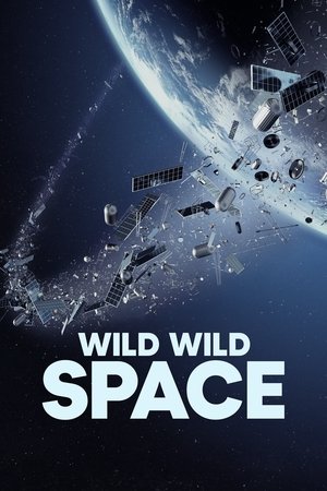 Wild Wild Space 2024