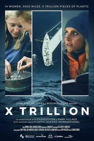 X Trillion 2024